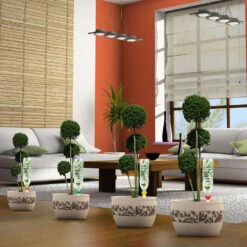 Cône D'Arrosage D'absence : Jusqu'à 25 Cm 7 Cl - S, Orange - Pack 3+1 -Pas Cher Verloisia Magasin 177127 008