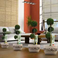 Cône D'Arrosage D'absence : 30 à 40 Cm 20 Cl - M, Vert - Pack 3+1 -Pas Cher Verloisia Magasin 177131 008