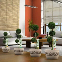 Cône D'Arrosage D'absence : Jusqu'à 60 Cm 50 Cl - XL, Rouge - Pack 3+1 -Pas Cher Verloisia Magasin 177137 006