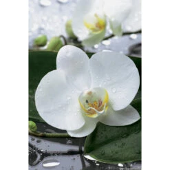 Pas Cher Verloisia Magasin -Pas Cher Verloisia Magasin 261303 001