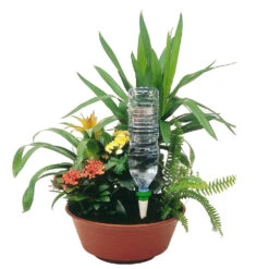 Cône D'Arrosage D'absence : Jardinière Violet - Pack 3+1 (gratuit) -Pas Cher Verloisia Magasin 366821 004