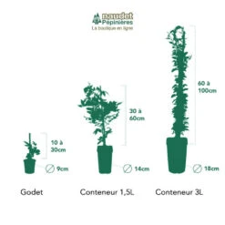 Pas Cher Verloisia Magasin -Pas Cher Verloisia Magasin 63cf8666965469.06469511