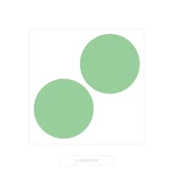 2x Eucalyptus Gunnii - Gommier - Arbuste - Persistant – ⌀17 Cm - ↕40-50 Cm -Pas Cher Verloisia Magasin 63f3b93f9e66b1.69556151