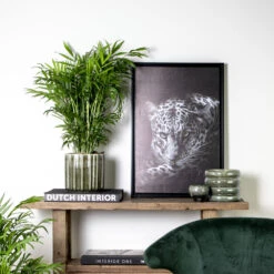 Chamaedorea Elegans - Palmier Nain Mexicain - Purificateur D'air – ⌀17 Cm - ↕50-60 Cm -Pas Cher Verloisia Magasin 640b21045e72a5.33117055