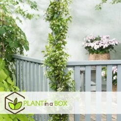 Pas Cher Verloisia Magasin -Pas Cher Verloisia Magasin 6426d296d212d4.91269698