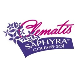 Clématite Saphyra® Violetta "m32-10'/godet - 5/10 Cm 11 Clématite Saphyra® Violetta "m32-10'/godet - 5/10 Cm -Pas Cher Verloisia Magasin 645d8585385793.88311540