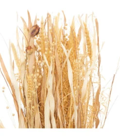 ATMOSPHERA Fagot De Fleurs Et Tiges Séchées D. 25 X H. 115 Cm -Pas Cher Verloisia Magasin 64821bbdf34e96.52846136