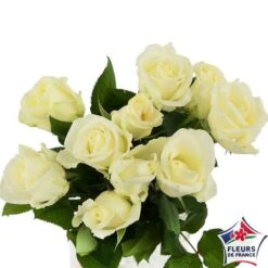 Botte 10 Roses ''Fleurs De France'' H.50cm Coloris Variables -Pas Cher Verloisia Magasin 907464 001