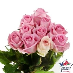 Botte 10 Roses ''Fleurs De France'' H.50cm Coloris Variables -Pas Cher Verloisia Magasin 907464 003