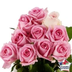 Botte 10 Roses ''Fleurs De France'' H.50cm Coloris Variables -Pas Cher Verloisia Magasin 907464 004