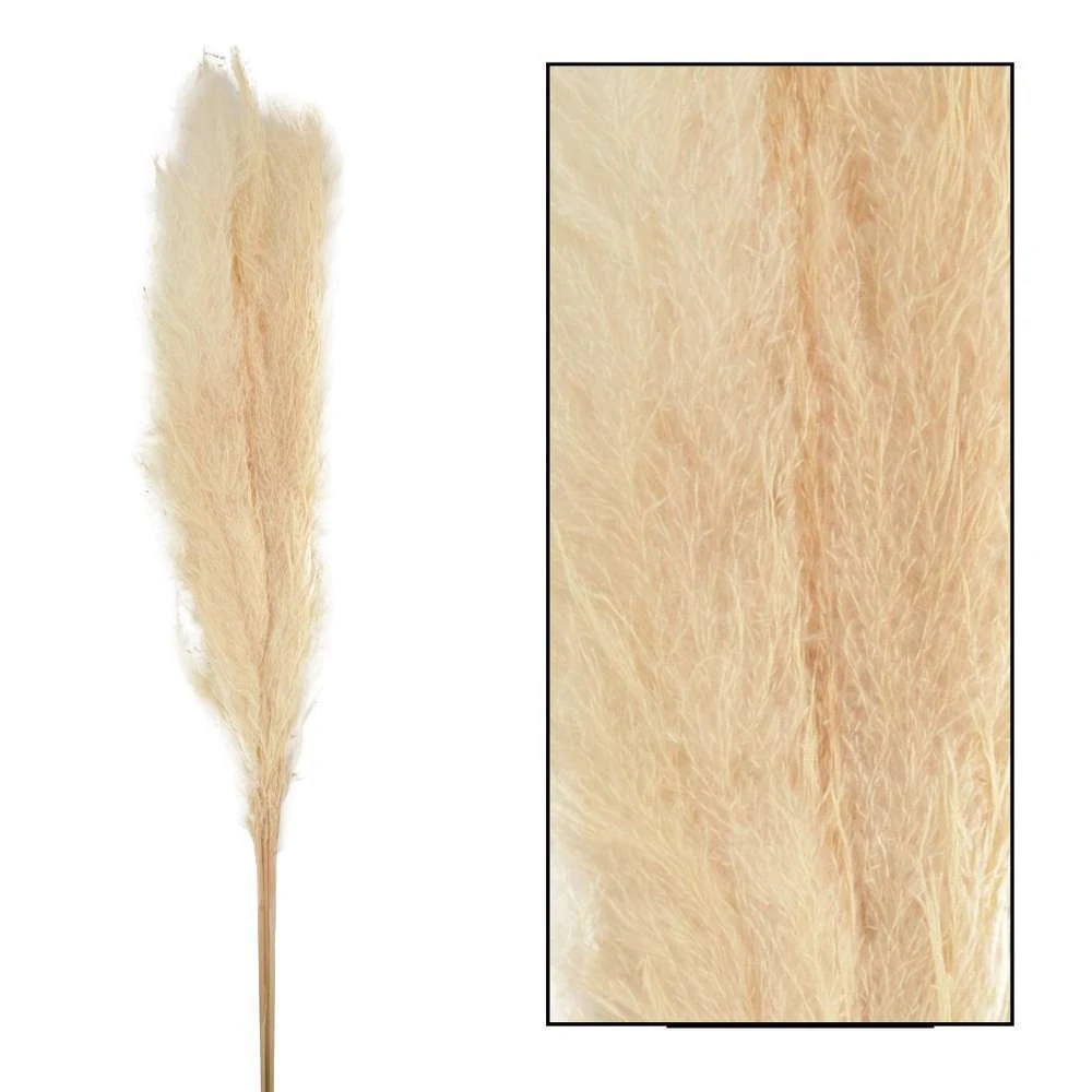 Bouquet Séché Pampas Mace 115-117cm 3pcs 2 Bouquet Séché Pampas Mace 115-117cm 3pcs – Image 2